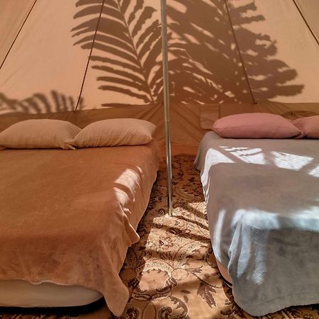 ボケテ Agartha Mountain Retreatホステル エクステリア 写真