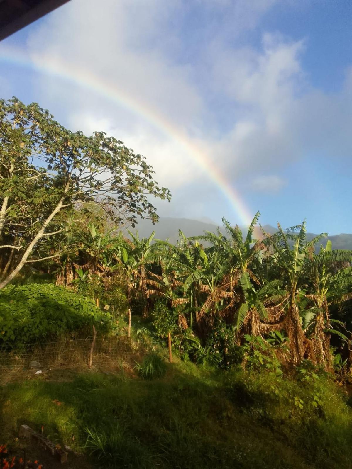 ボケテ Agartha Mountain Retreatホステル エクステリア 写真